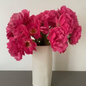 Vase en porcelaine blanche délicatement rainué